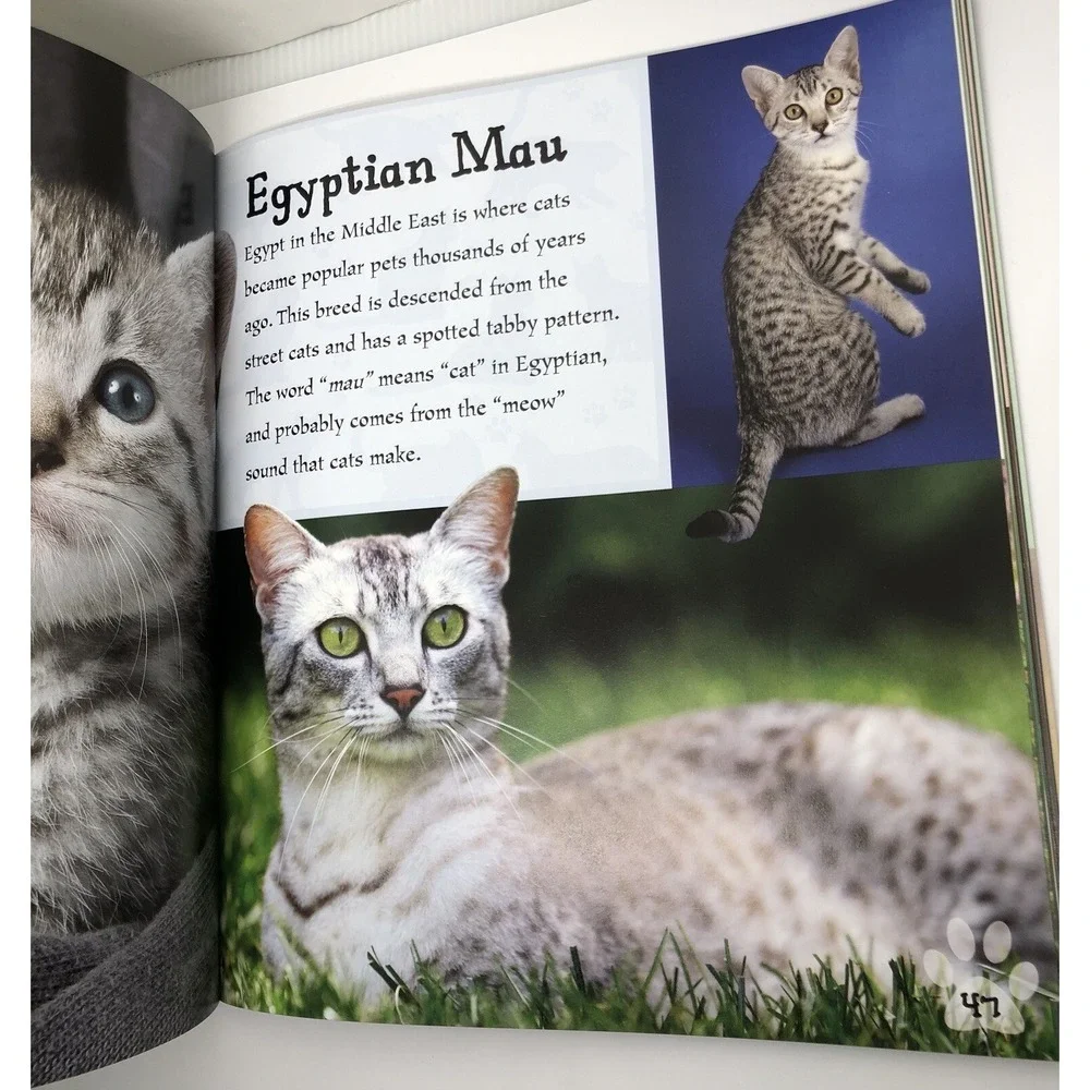 I Love: Cats and Kittens by Alderton, David (2014) Paperback Information Book‎